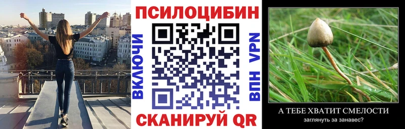 Псилоцибиновые грибы ЛСД  Плёс 