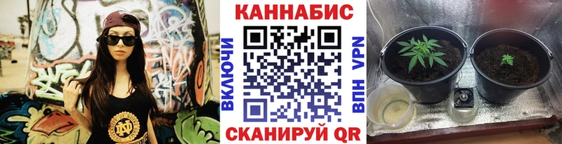 OMG сайт  Плёс  Бошки Шишки тримм 